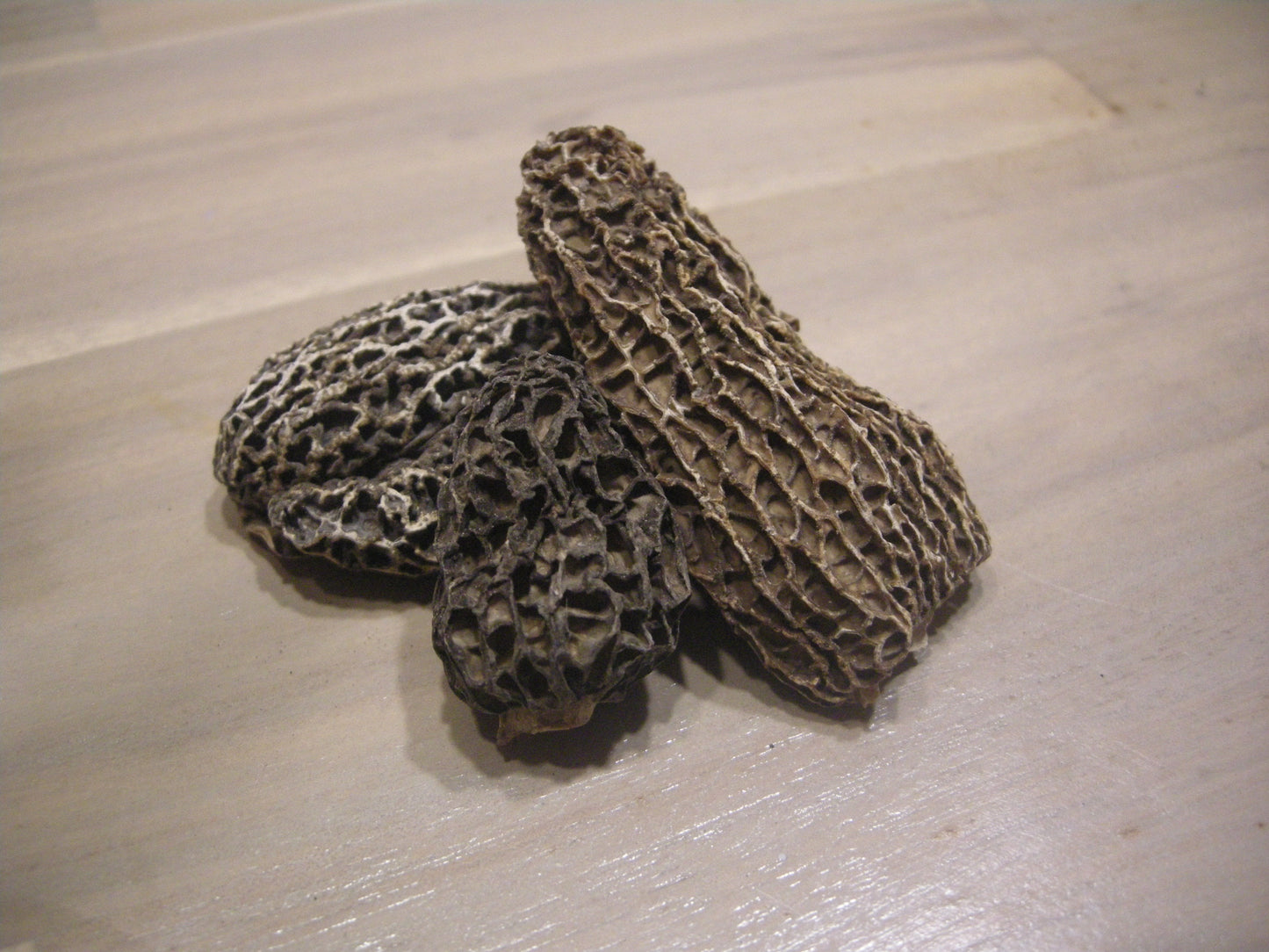 Dried Wild Harvested Morel Mushrooms