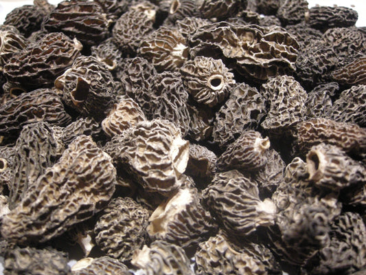 Dried Wild Harvested Morel Mushrooms